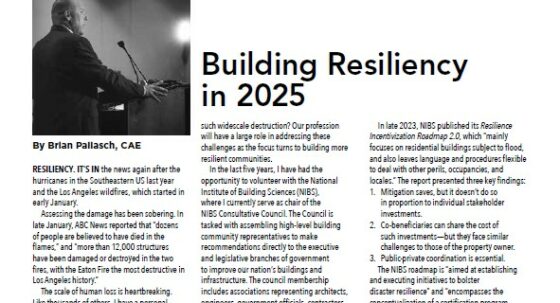 Cover page of IIBEC From the CEO article, 