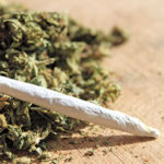 joint and buds