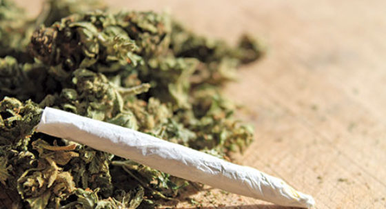 joint and buds