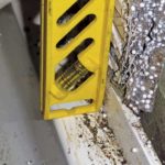 level next to flange showing no overlap
