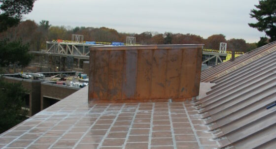 shed dormer