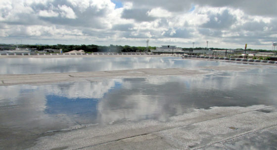A roof with ponded water