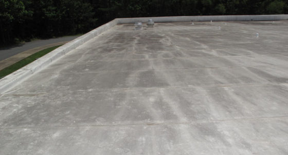 single ply roof