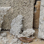 hempcrete