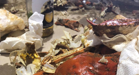 crab